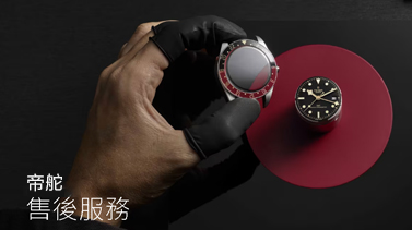 广东惠州帝舵维修服务中心地址